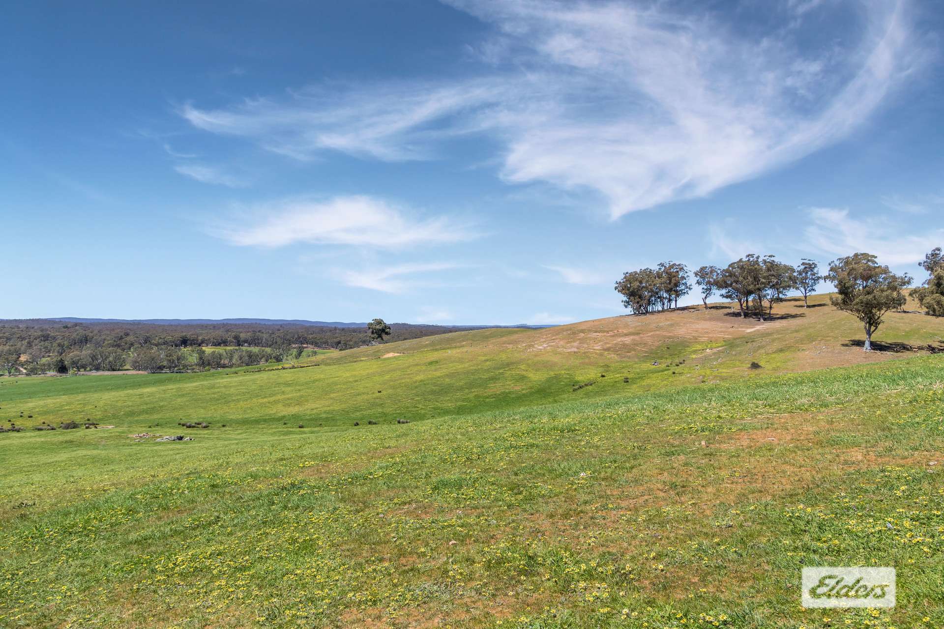 59 Stuchbree Road, Yapeen For Sale by Farmbuy.com - image 27