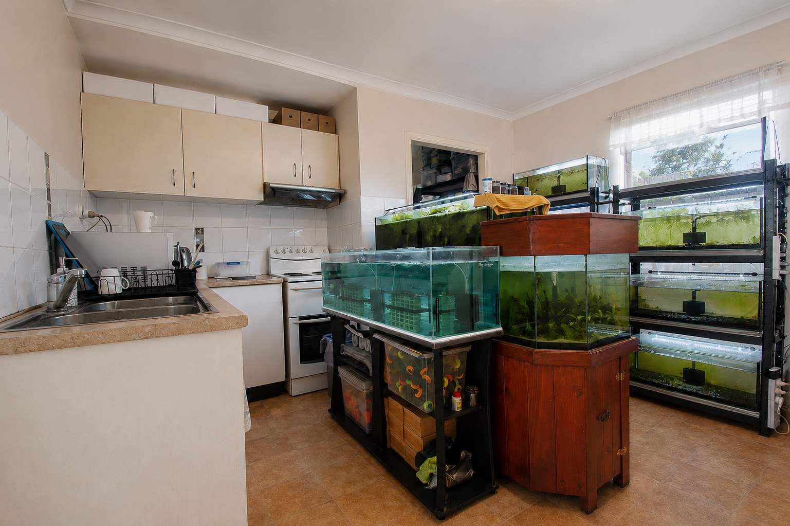 24935 New England Highway, Thulimbah For Sale by Farmbuy.com - image 23