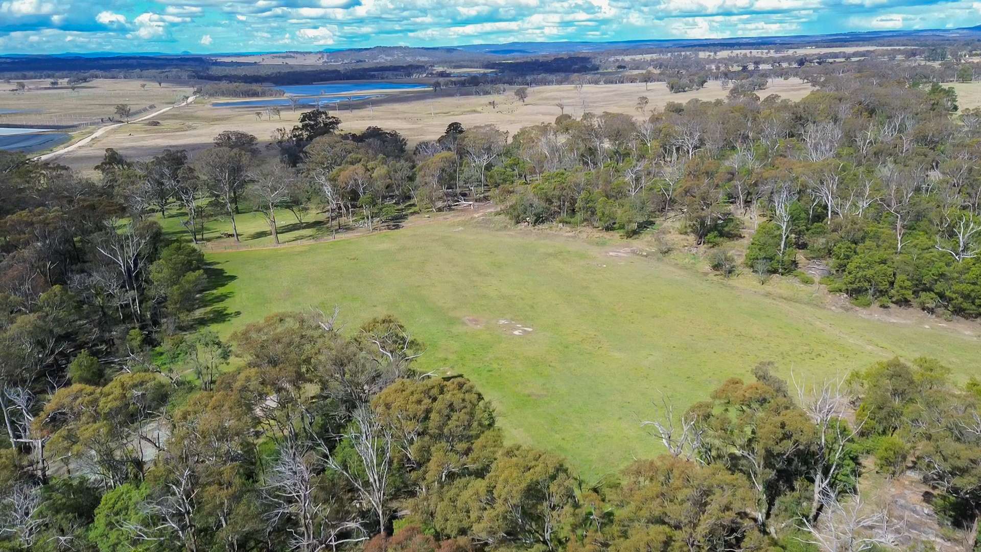 24935 New England Highway, Thulimbah For Sale by Farmbuy.com - image 2