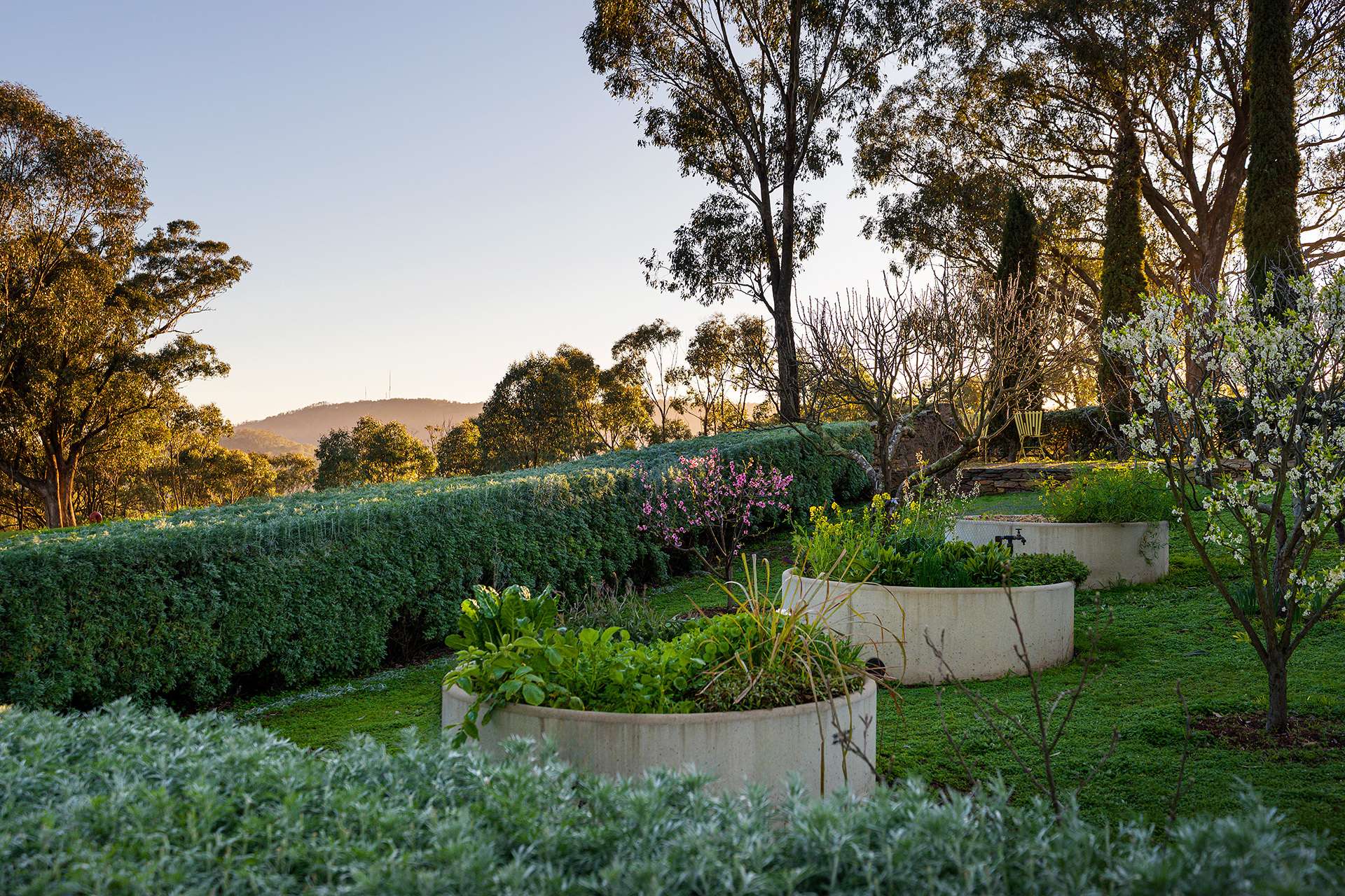 412 Specimen Gully Road, Faraday For Sale by Farmbuy.com - image 20