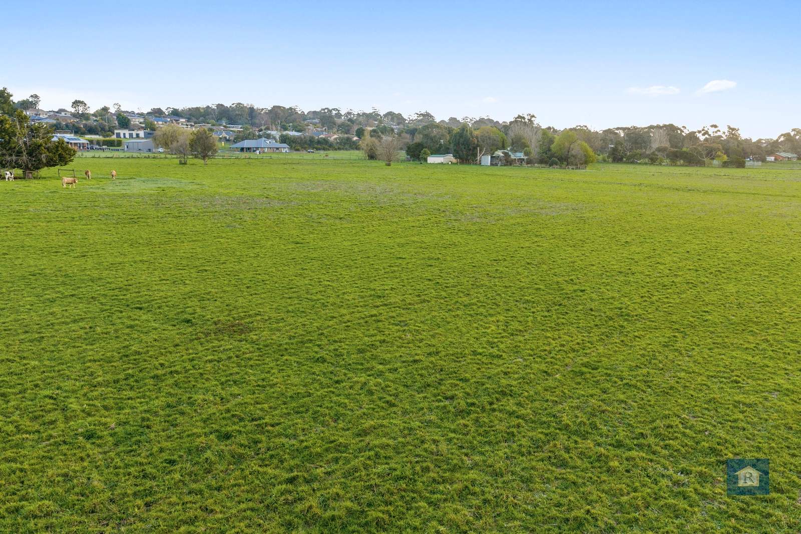 60 Slater Street, Elliminyt For Sale by Farmbuy.com - image 8