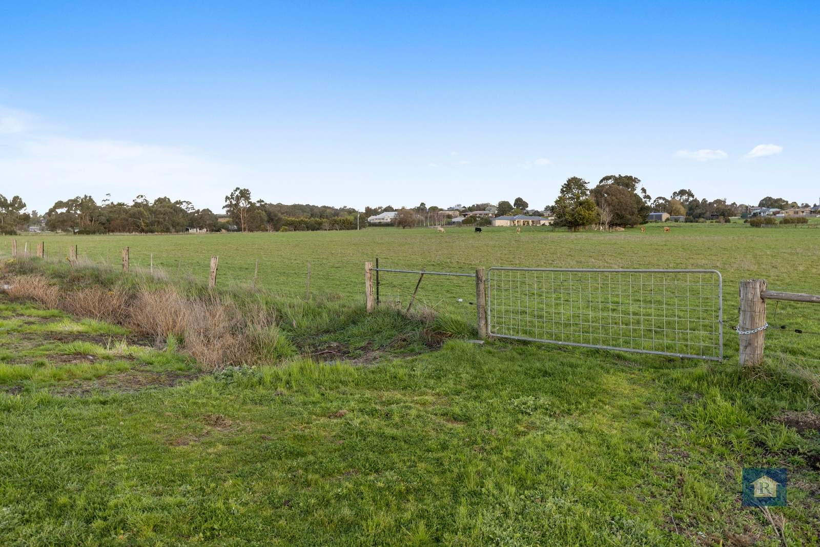 60 Slater Street, Elliminyt For Sale by Farmbuy.com - image 5
