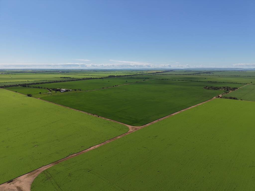 534 Willamulka Rd, Willamulka SA 5554