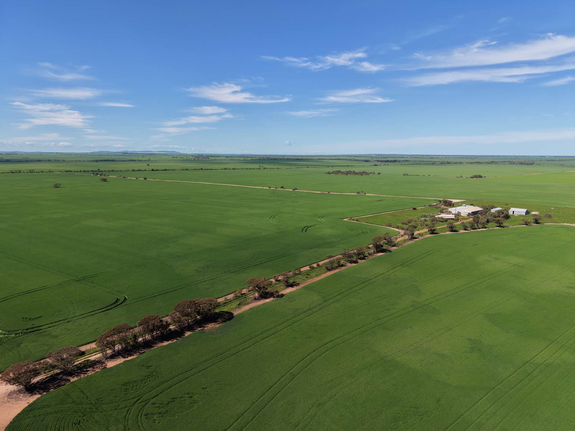 534 Willamulka Rd, Willamulka For Sale by Farmbuy.com - image 4