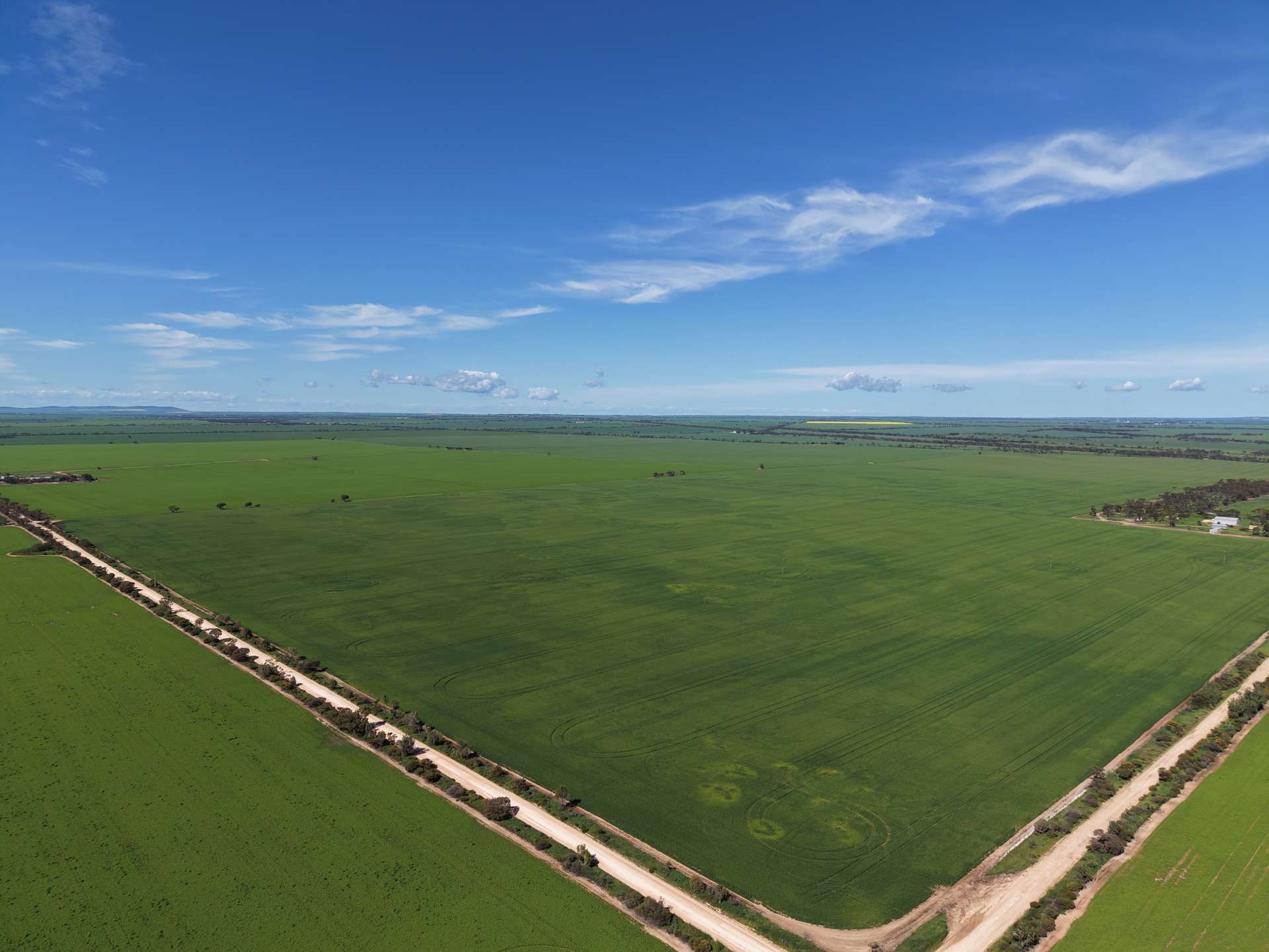 534 Willamulka Rd, Willamulka For Sale by Farmbuy.com - image 7