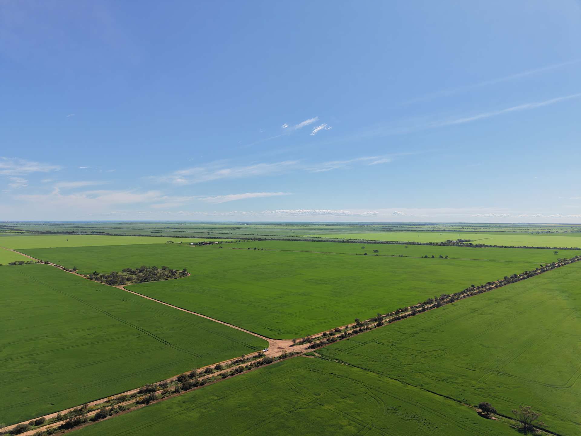 534 Willamulka Rd, Willamulka For Sale by Farmbuy.com - image 6