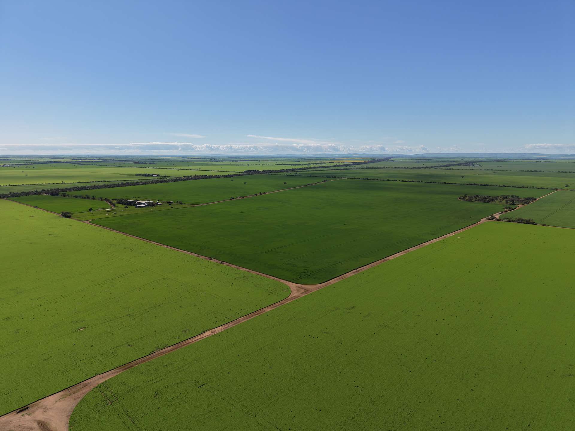 534 Willamulka Rd, Willamulka For Sale by Farmbuy.com - image 1