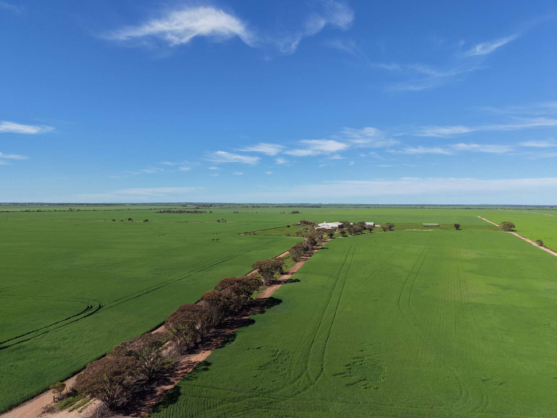 534 Willamulka Rd, Willamulka For Sale by Farmbuy.com - image 3