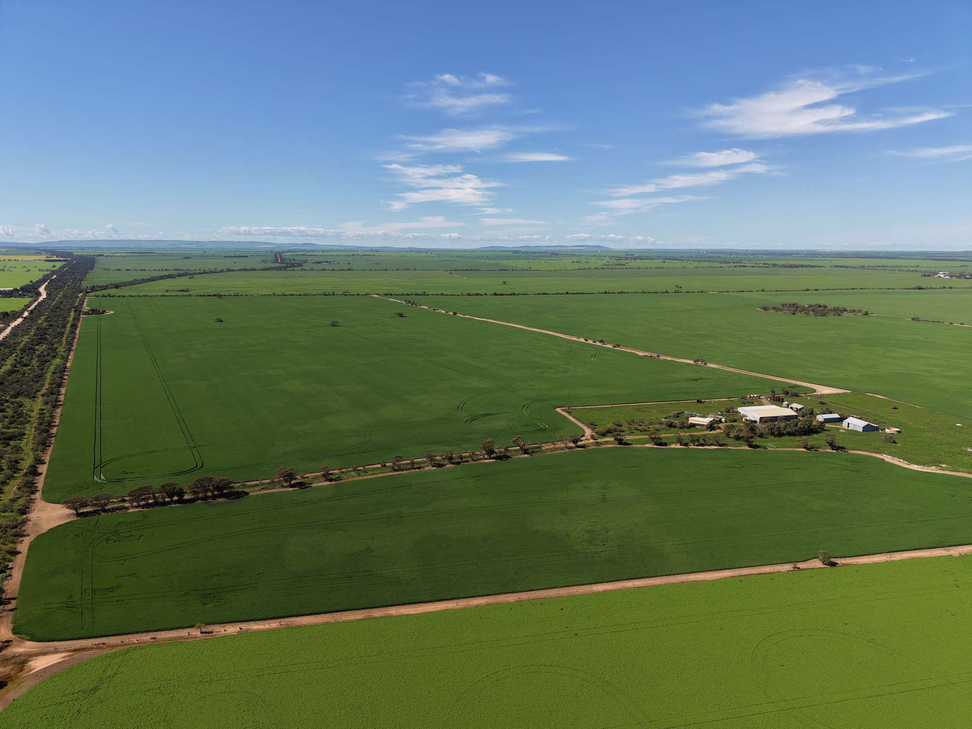 534 Willamulka Rd, Willamulka For Sale by Farmbuy.com - image 5