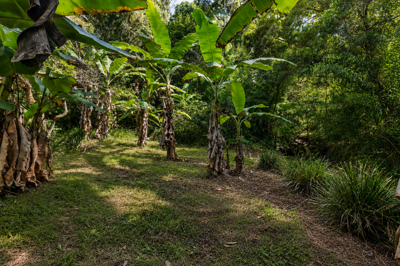 181 Kirbys Road, Montville For Sale by Farmbuy.com - image 33