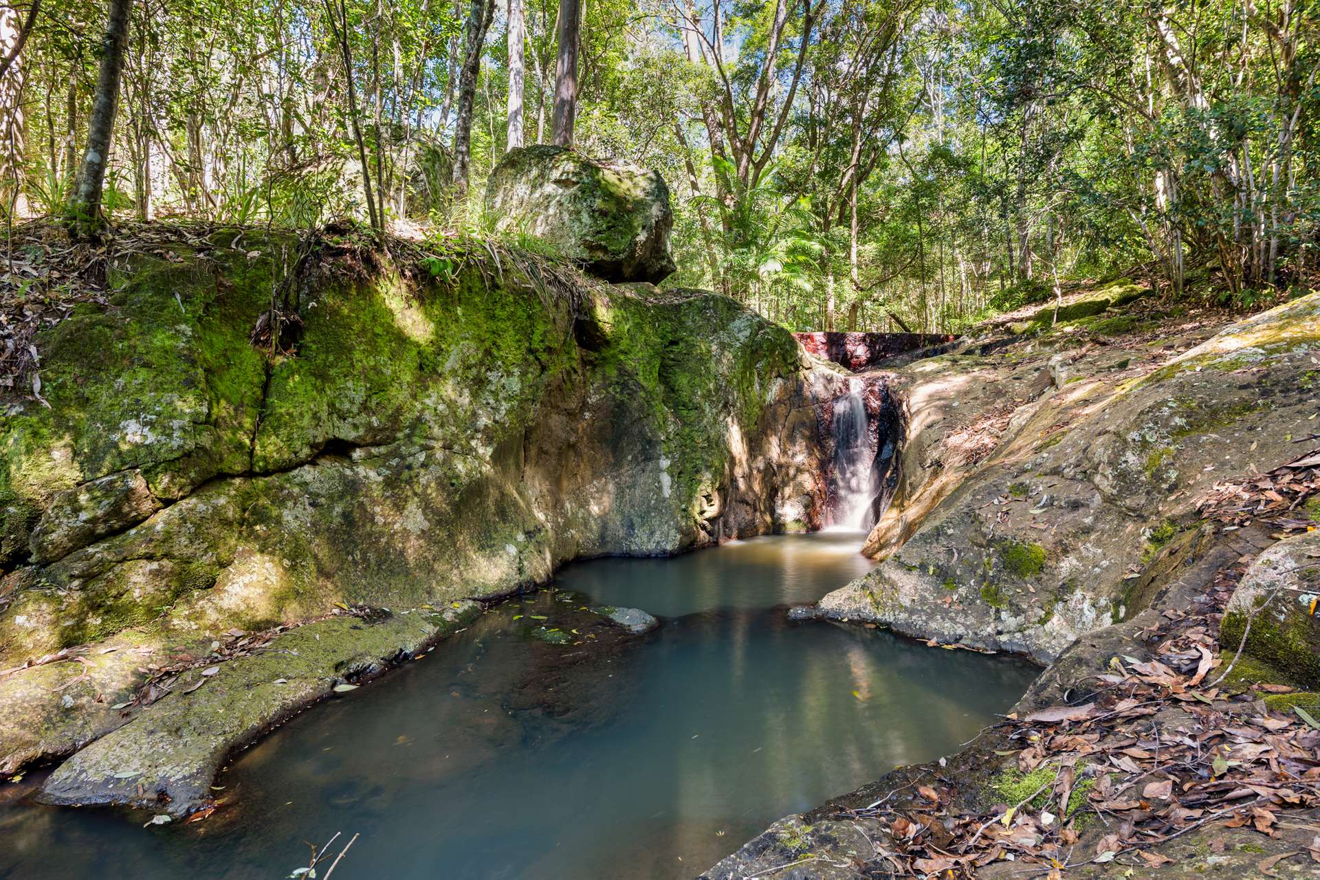 181 Kirbys Road, Montville For Sale by Farmbuy.com - image 31