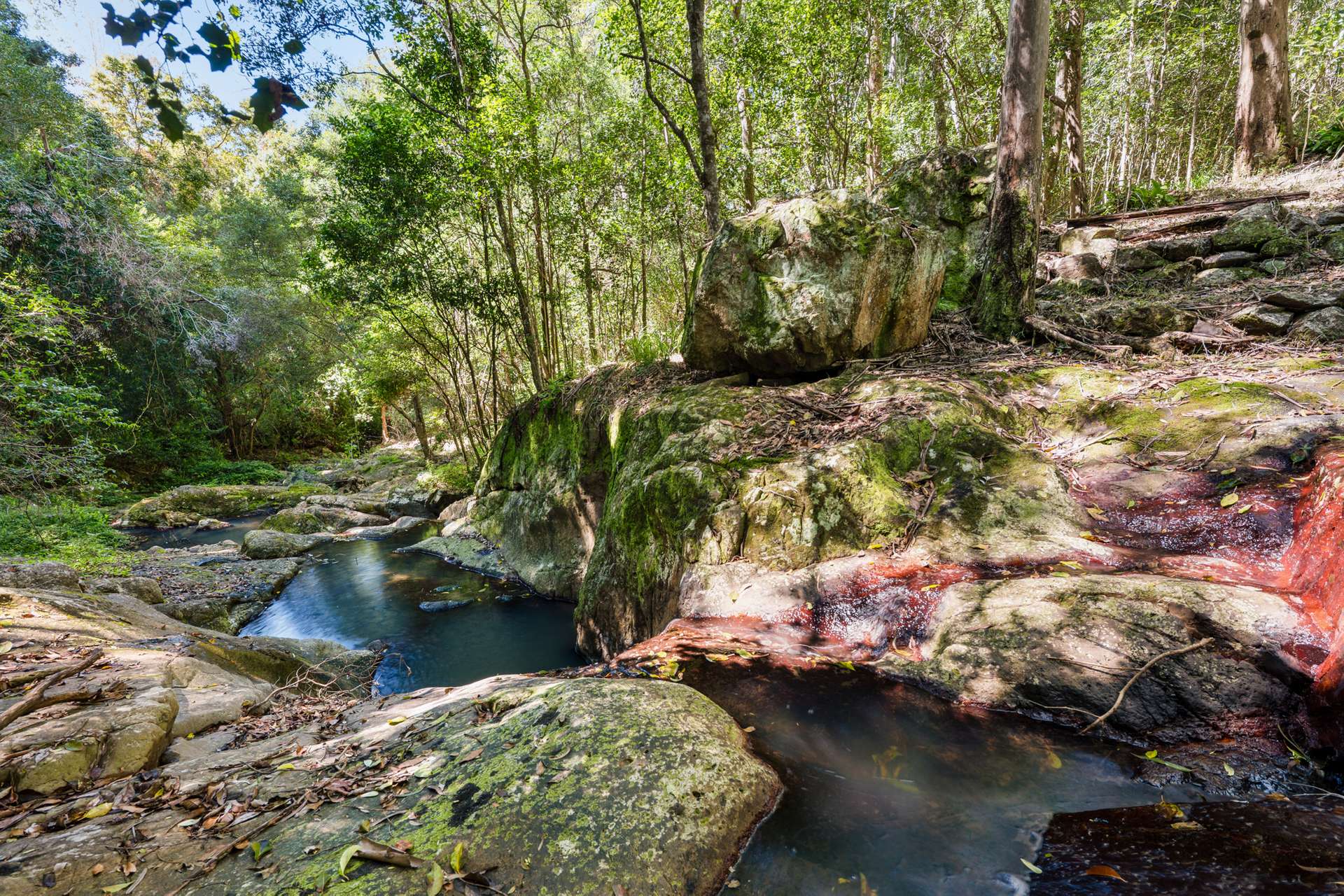 181 Kirbys Road, Montville For Sale by Farmbuy.com - image 32