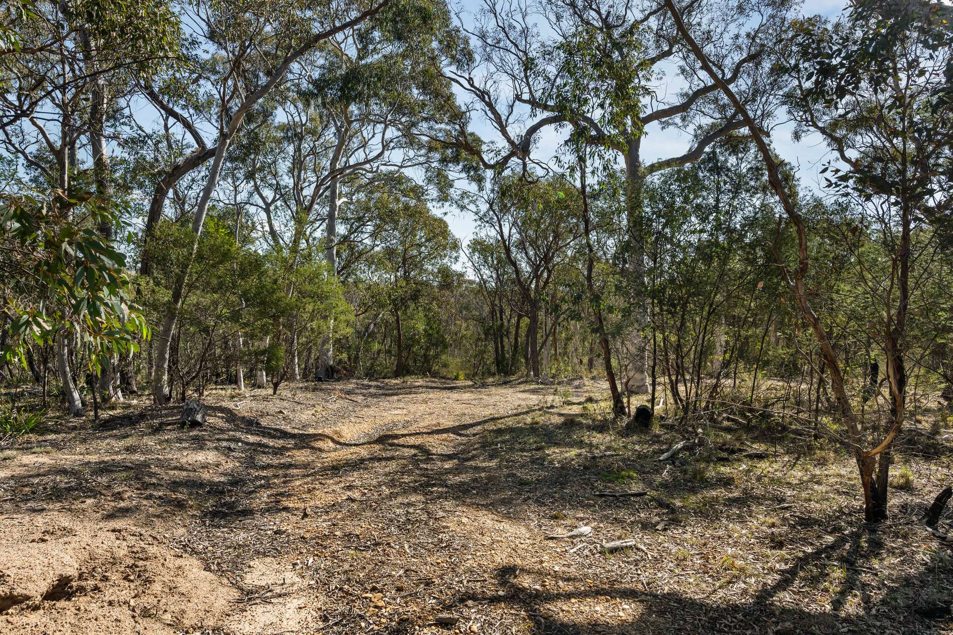 31 Reedy Creek Lane, Manar For Sale by Farmbuy.com - image 30