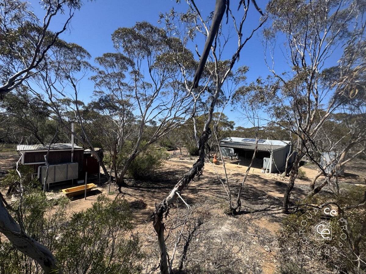 Fisher For Sale by Farmbuy.com - image 3