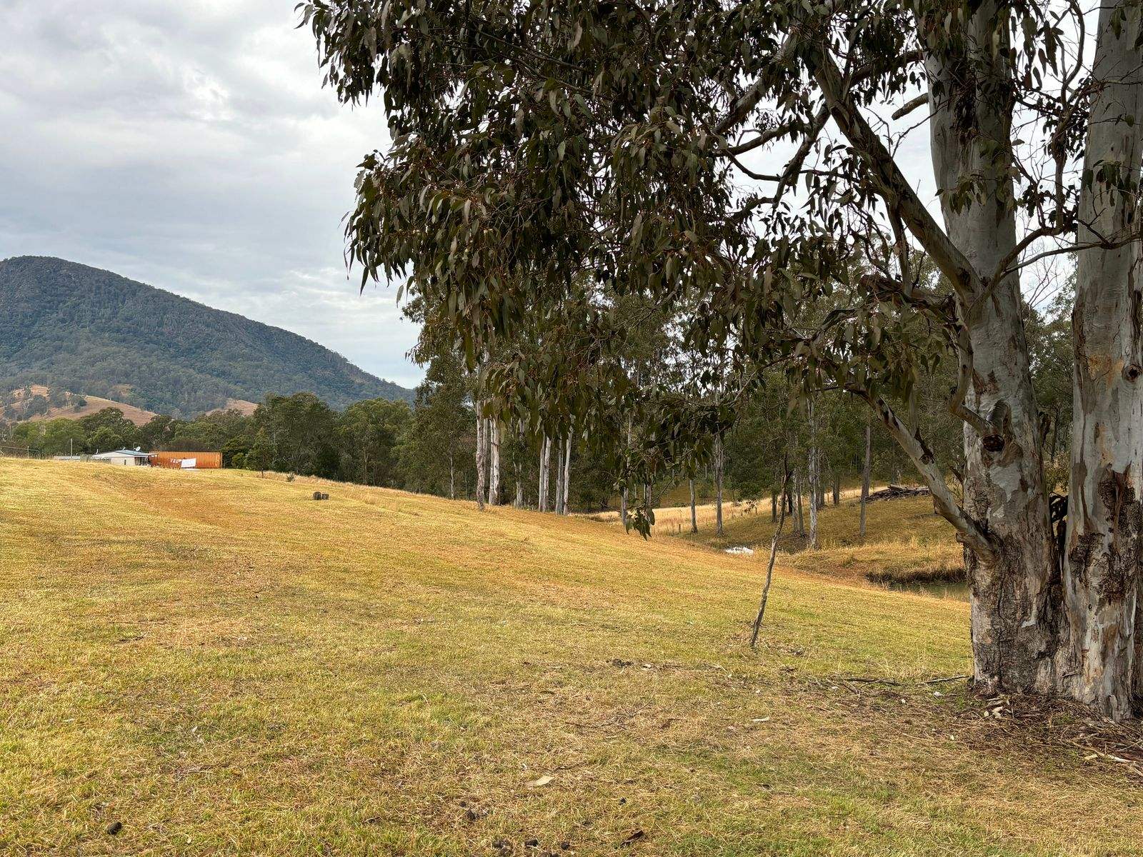 Lot Lot 1 & 2, 38 Easton Street, Bundook For Sale by Farmbuy.com - image 7