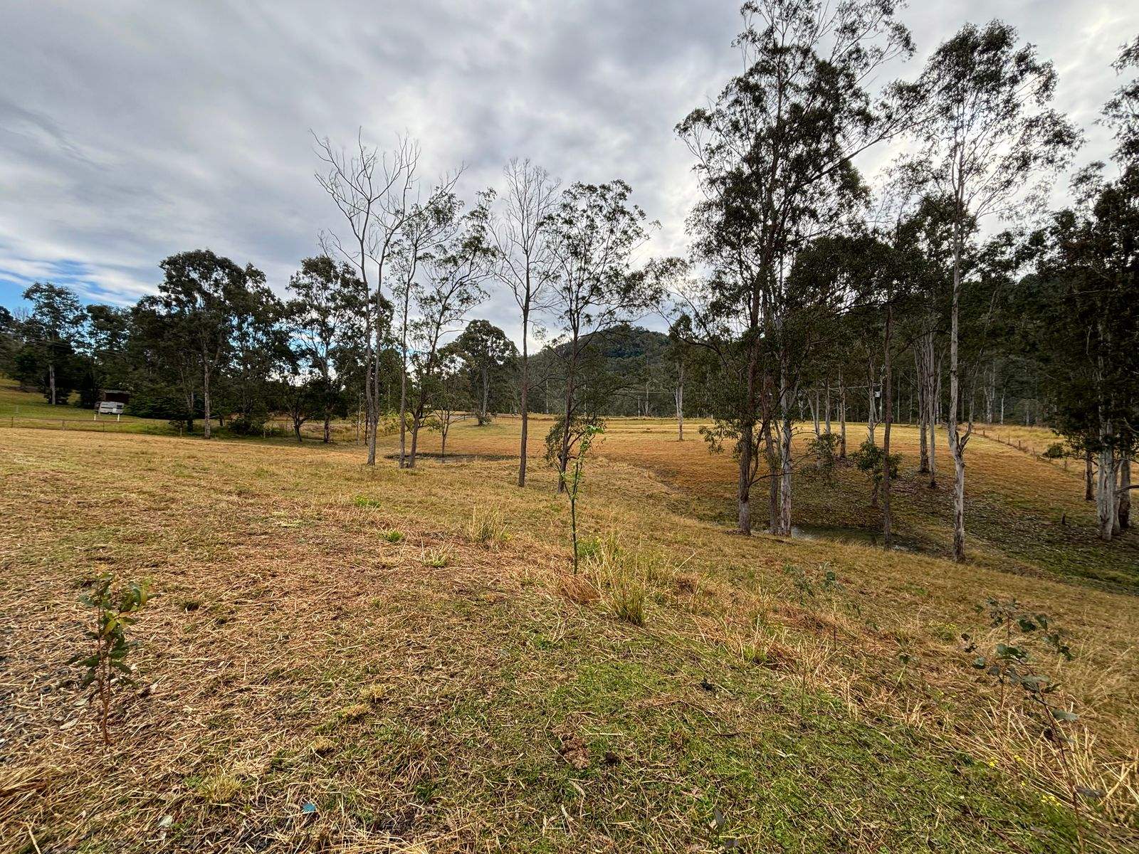 Lot Lot 1 & 2, 38 Easton Street, Bundook For Sale by Farmbuy.com - image 2