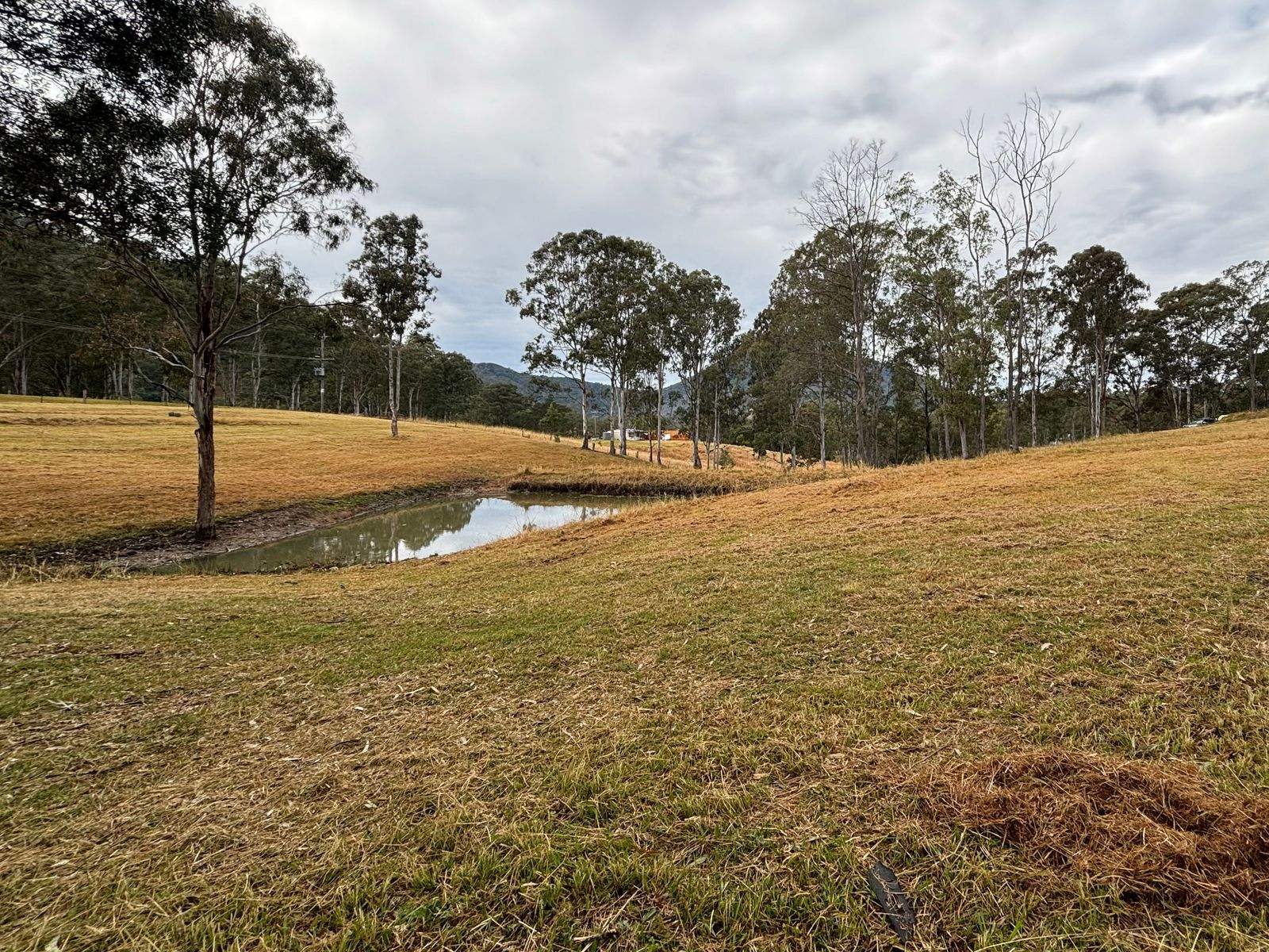Lot Lot 1 & 2, 38 Easton Street, Bundook For Sale by Farmbuy.com - image 4
