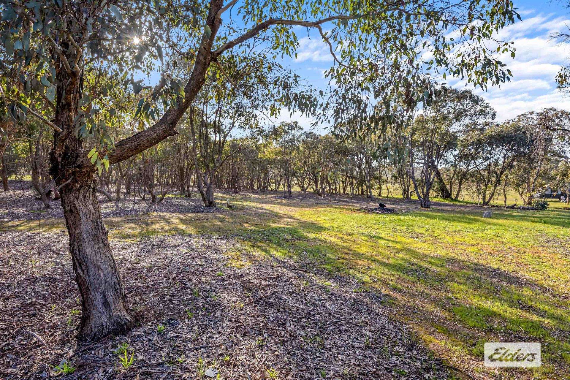 3210 Ararat - St Arnaud Road, Navarre For Sale by Farmbuy.com - image 8