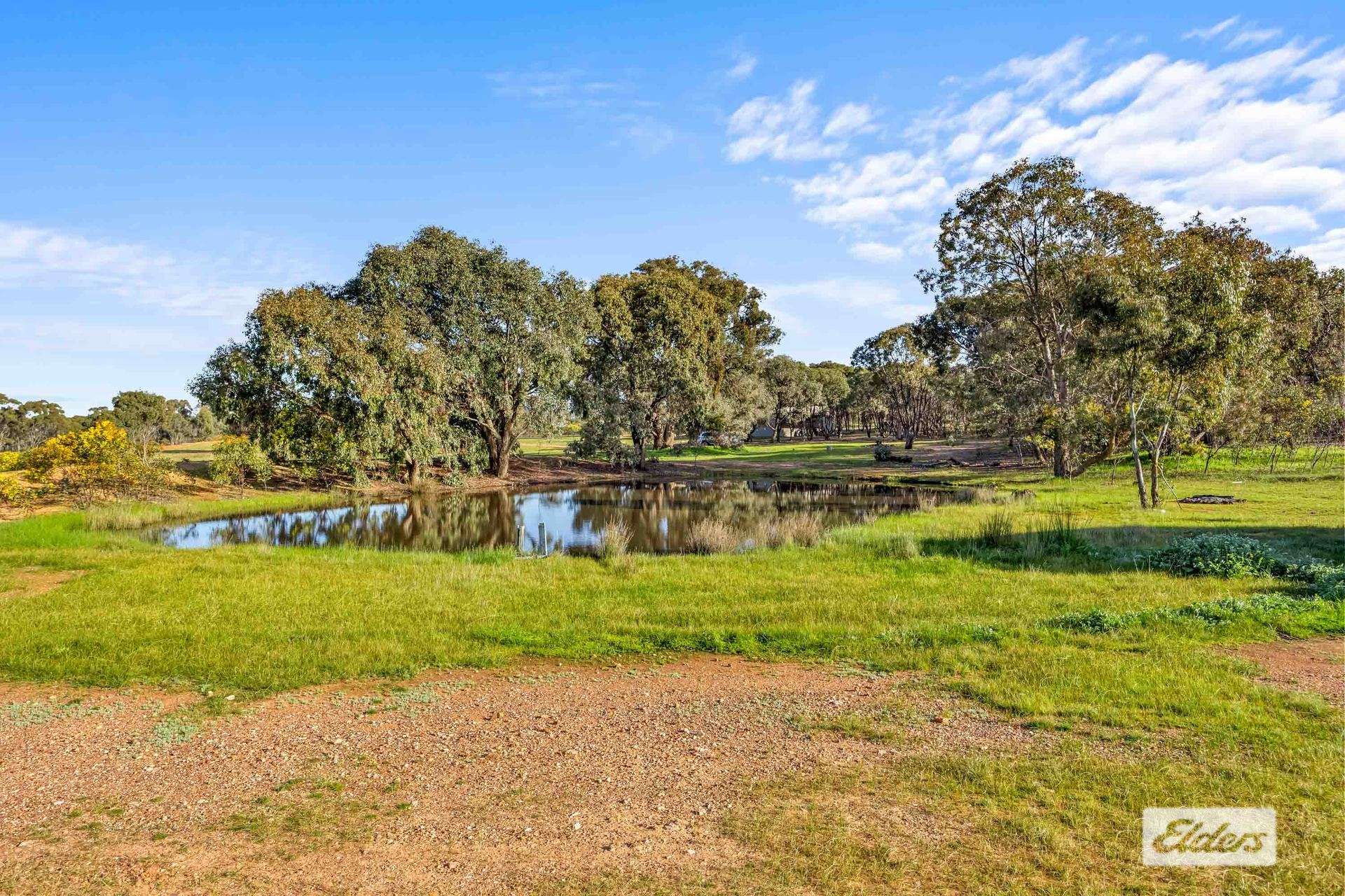 3210 Ararat - St Arnaud Road, Navarre For Sale by Farmbuy.com - image 4