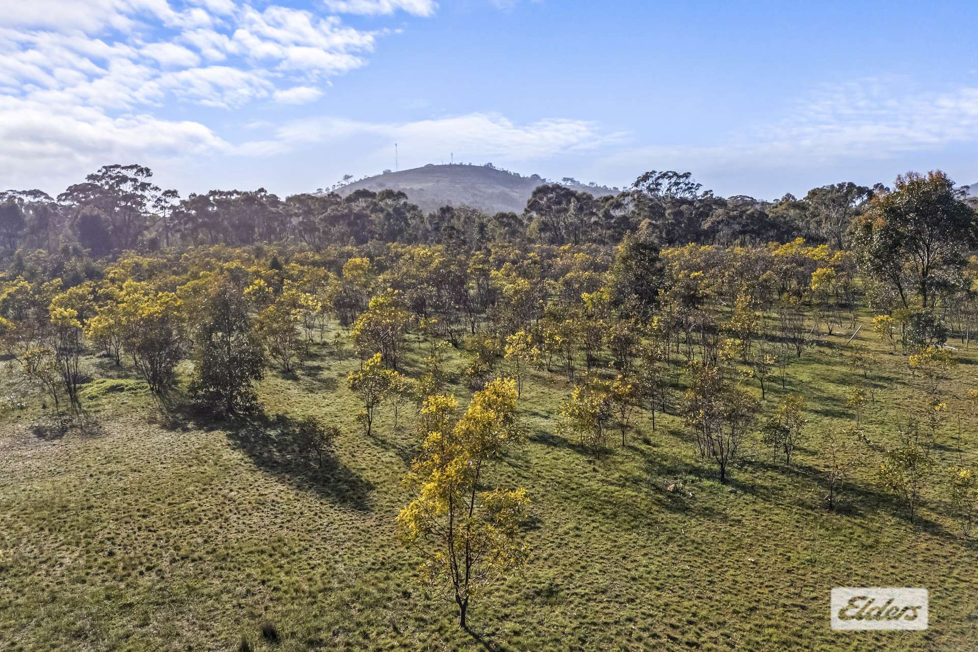 3210 Ararat - St Arnaud Road, Navarre For Sale by Farmbuy.com - image 12
