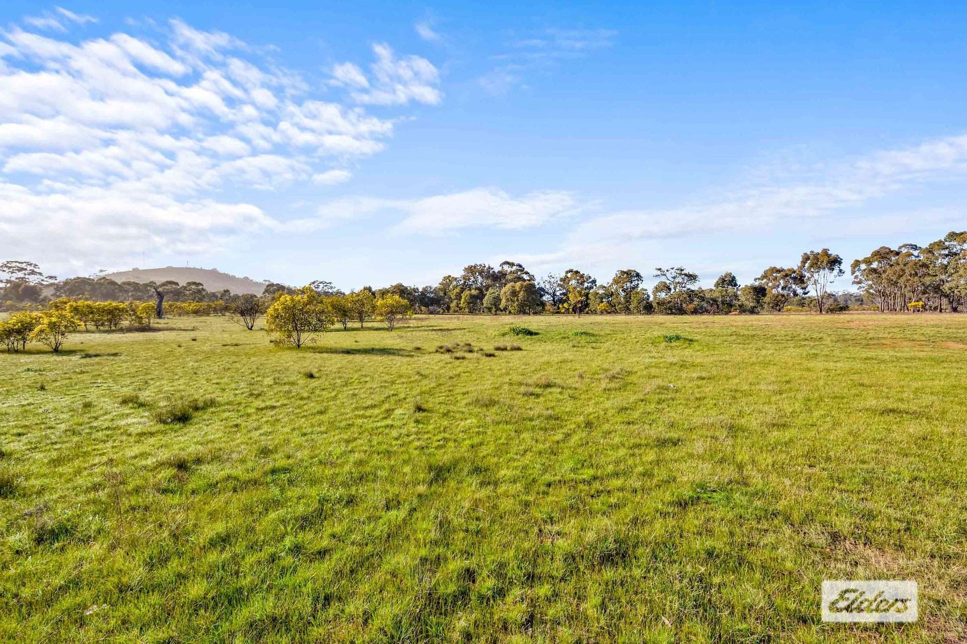 3210 Ararat - St Arnaud Road, Navarre For Sale by Farmbuy.com - image 2