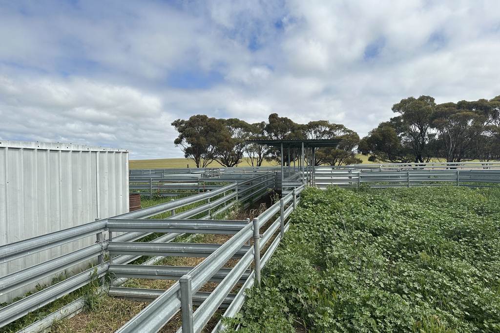 McLaren Road, Nyabing WA 6341