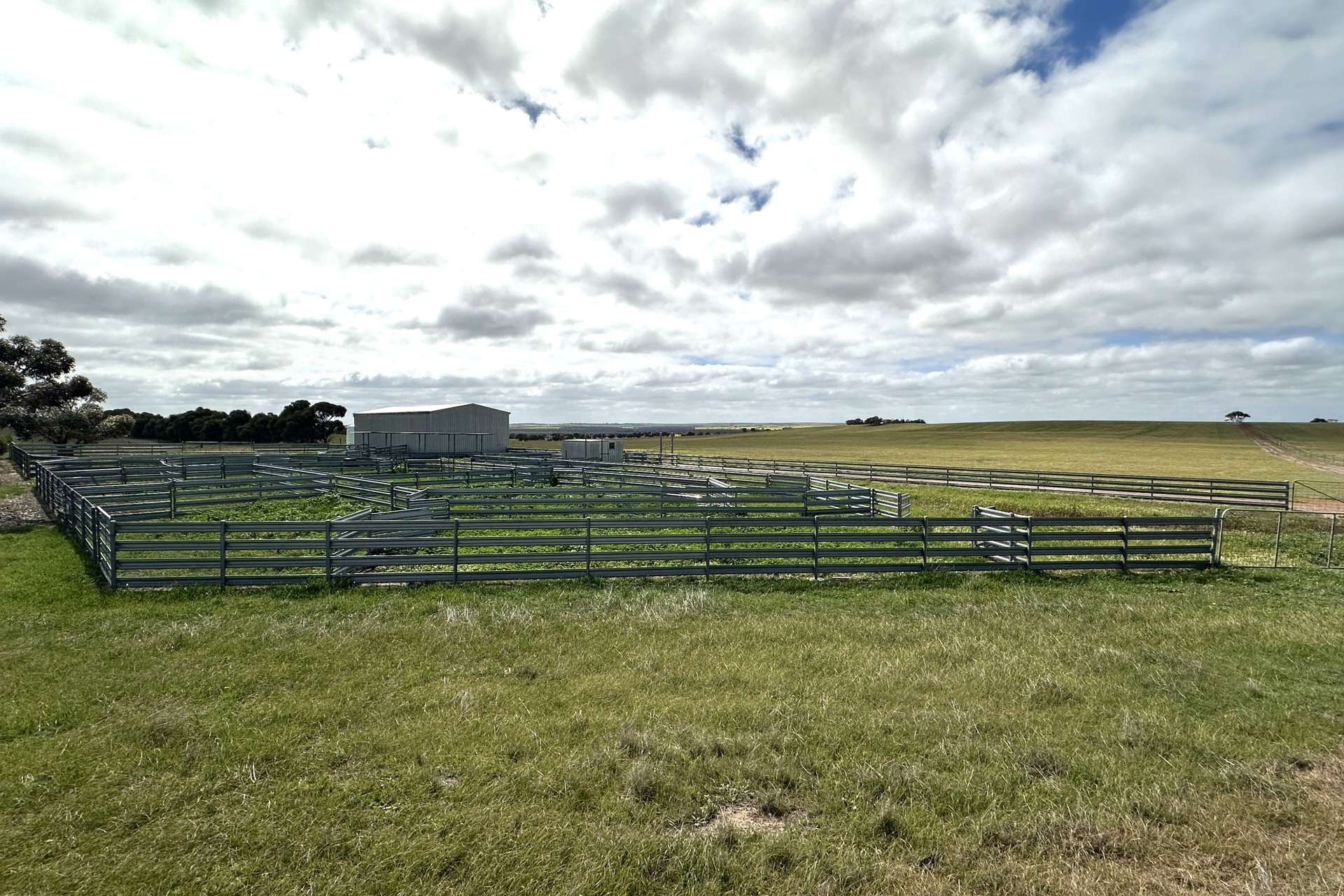 McLaren Road, Nyabing For Sale by Farmbuy.com - image 6