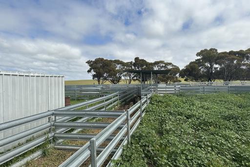 McLaren Road, Nyabing WA 6341