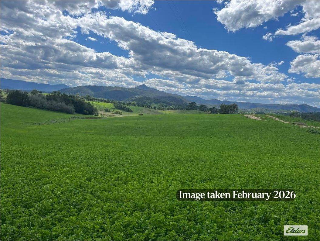 910 West Kameruka Road, Morans Crossing For Sale by Farmbuy.com - image 19