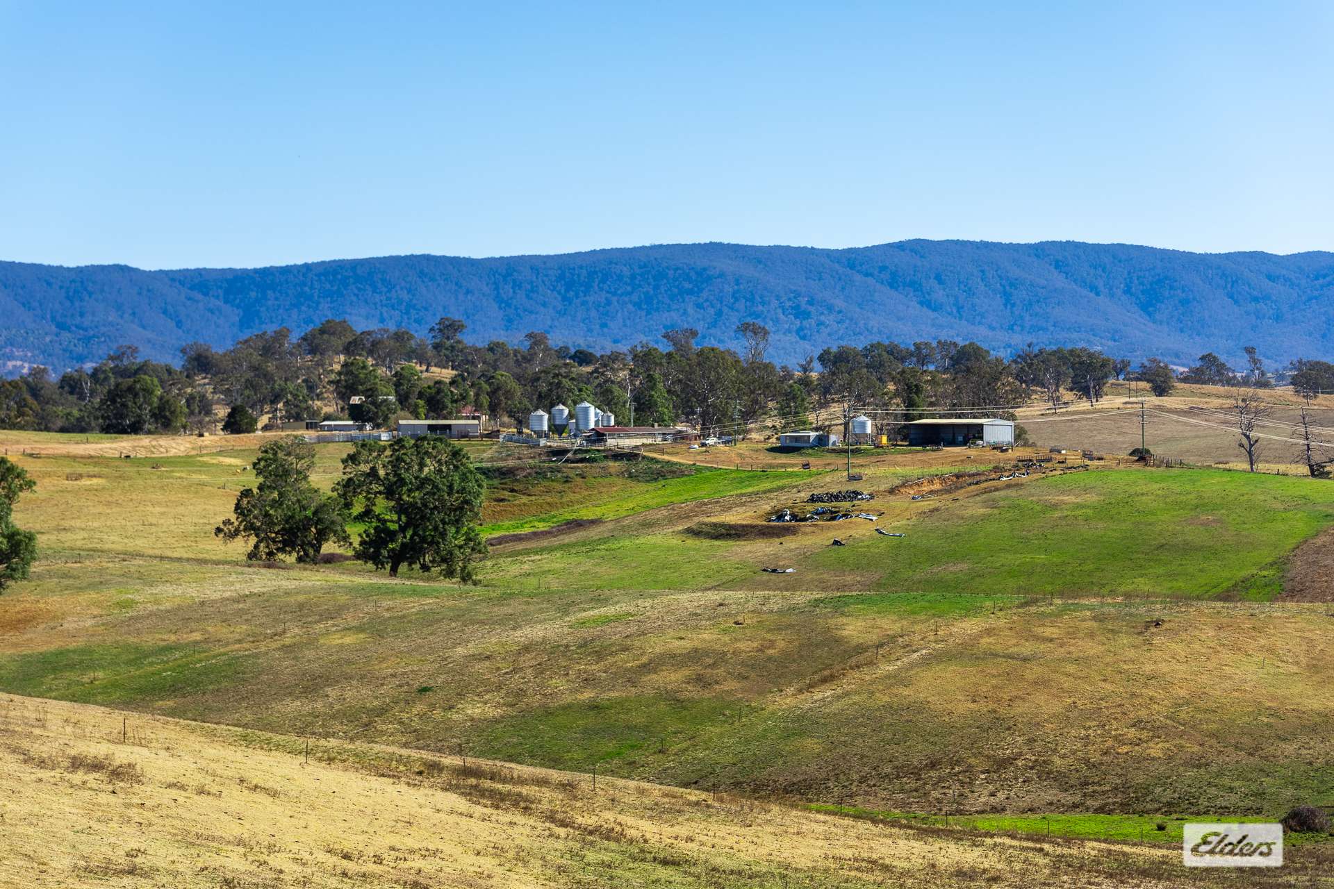 910 West Kameruka Road, Morans Crossing For Sale by Farmbuy.com - image 18