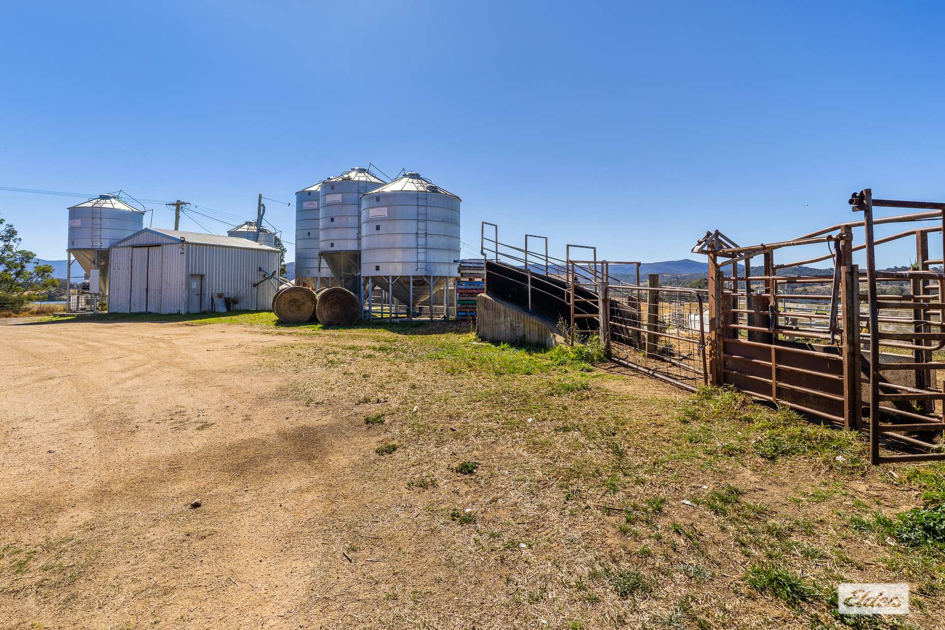 910 West Kameruka Road, Morans Crossing For Sale by Farmbuy.com - image 13