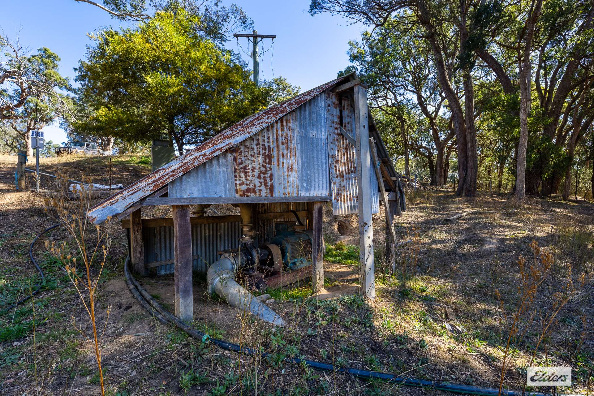 910 West Kameruka Road, Morans Crossing For Sale by Farmbuy.com - image 17