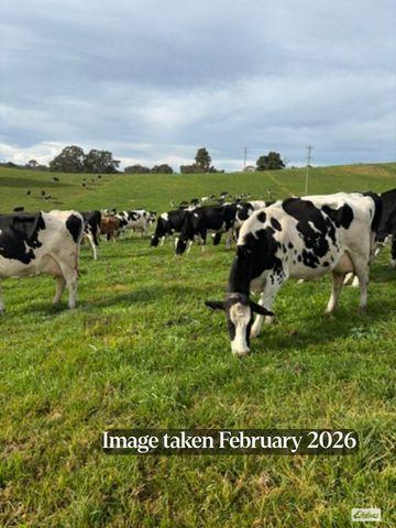 910 West Kameruka Road, Morans Crossing For Sale by Farmbuy.com - image 22