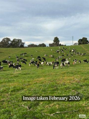 910 West Kameruka Road, Morans Crossing For Sale by Farmbuy.com - image 20