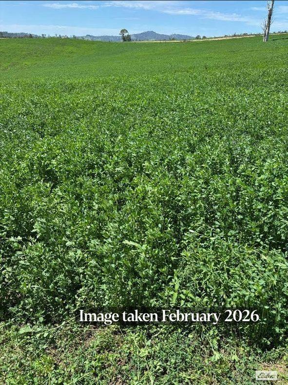 910 West Kameruka Road, Morans Crossing For Sale by Farmbuy.com - image 24