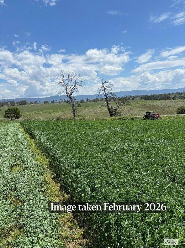 910 West Kameruka Road, Morans Crossing For Sale by Farmbuy.com - image 23