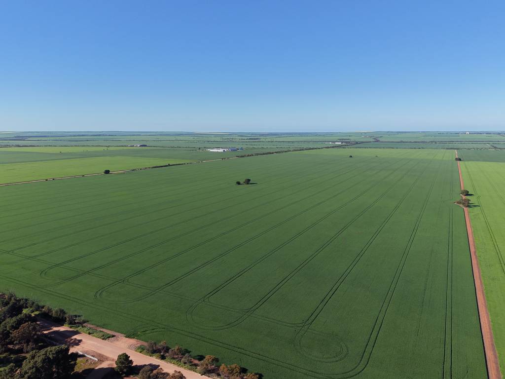 Lot 409 Church Road, Thomas Plain SA 5554