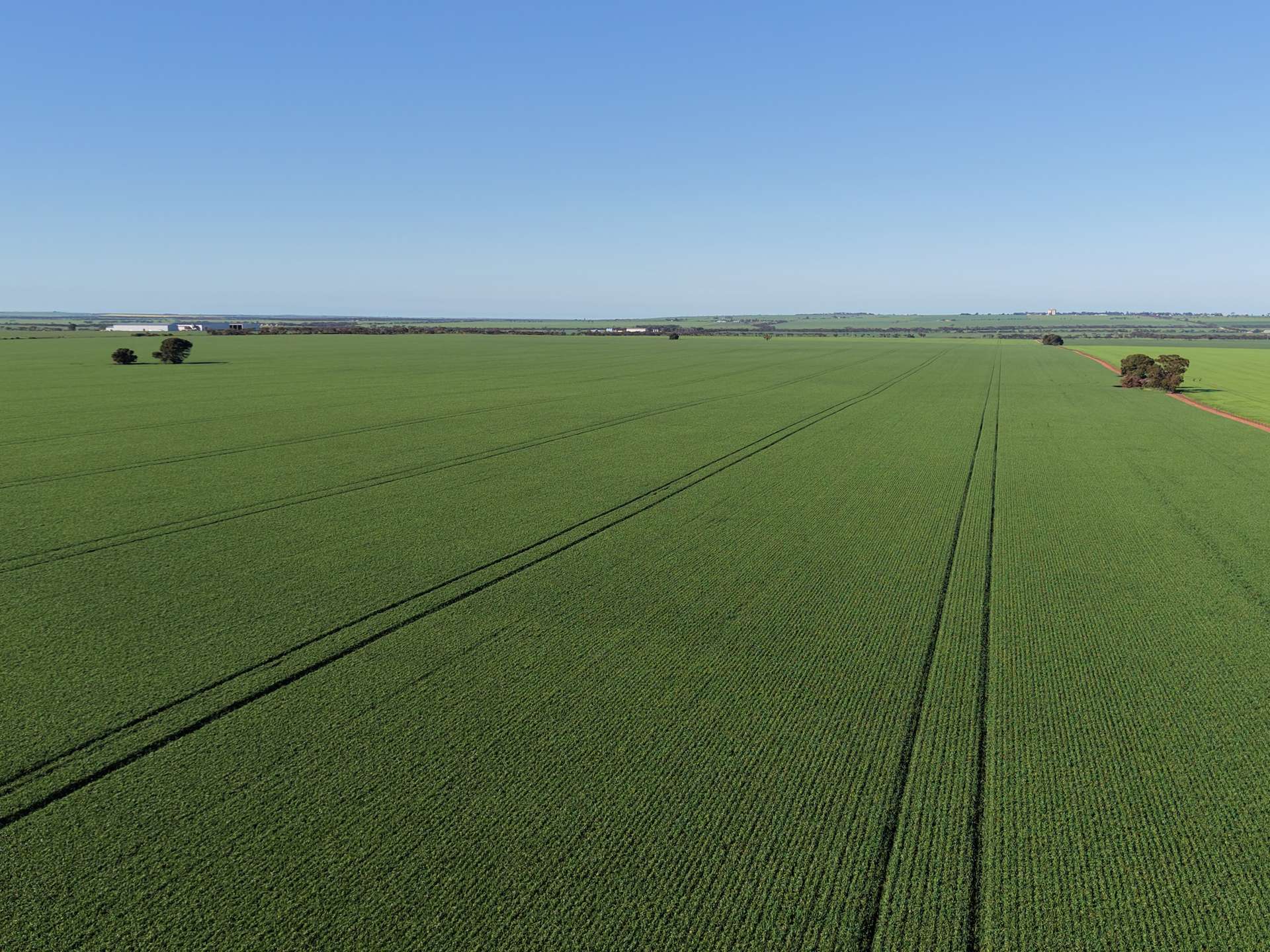 Lot 409 Church Road, Thomas Plain For Sale by Farmbuy.com - image 4