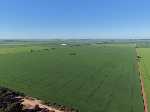 Lot 409 Church Road, Thomas Plain SA 5554