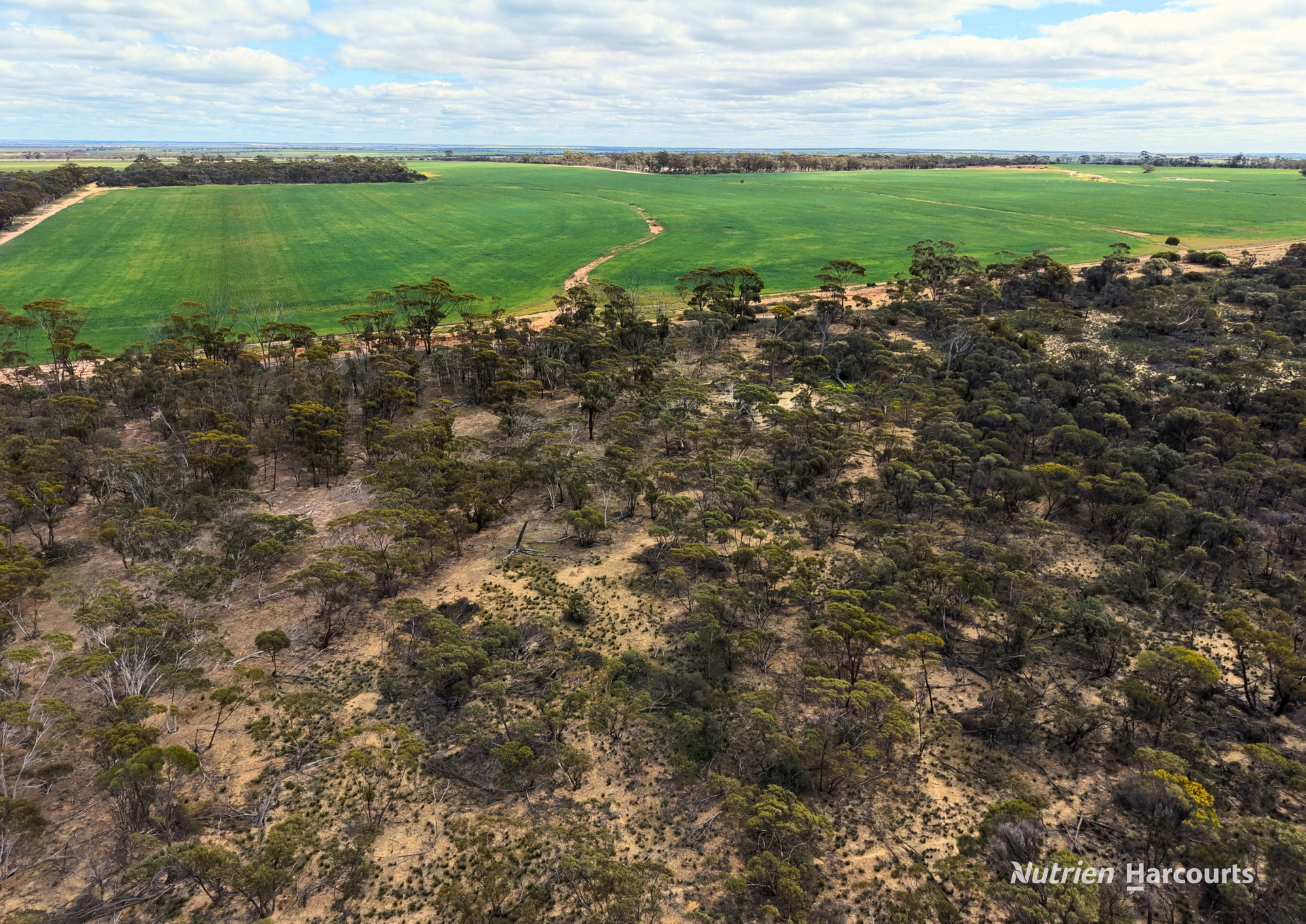 Lot 1495 East Boundary Road, Gabbin For Sale by Farmbuy.com - image 6
