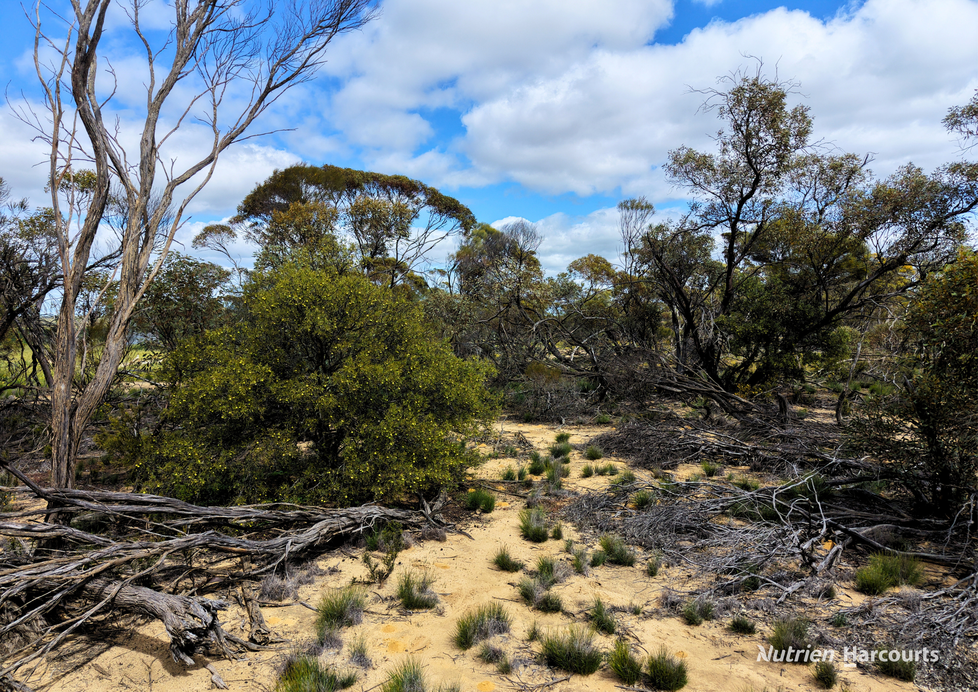 Lot 1495 East Boundary Road, Gabbin For Sale by Farmbuy.com - image 8