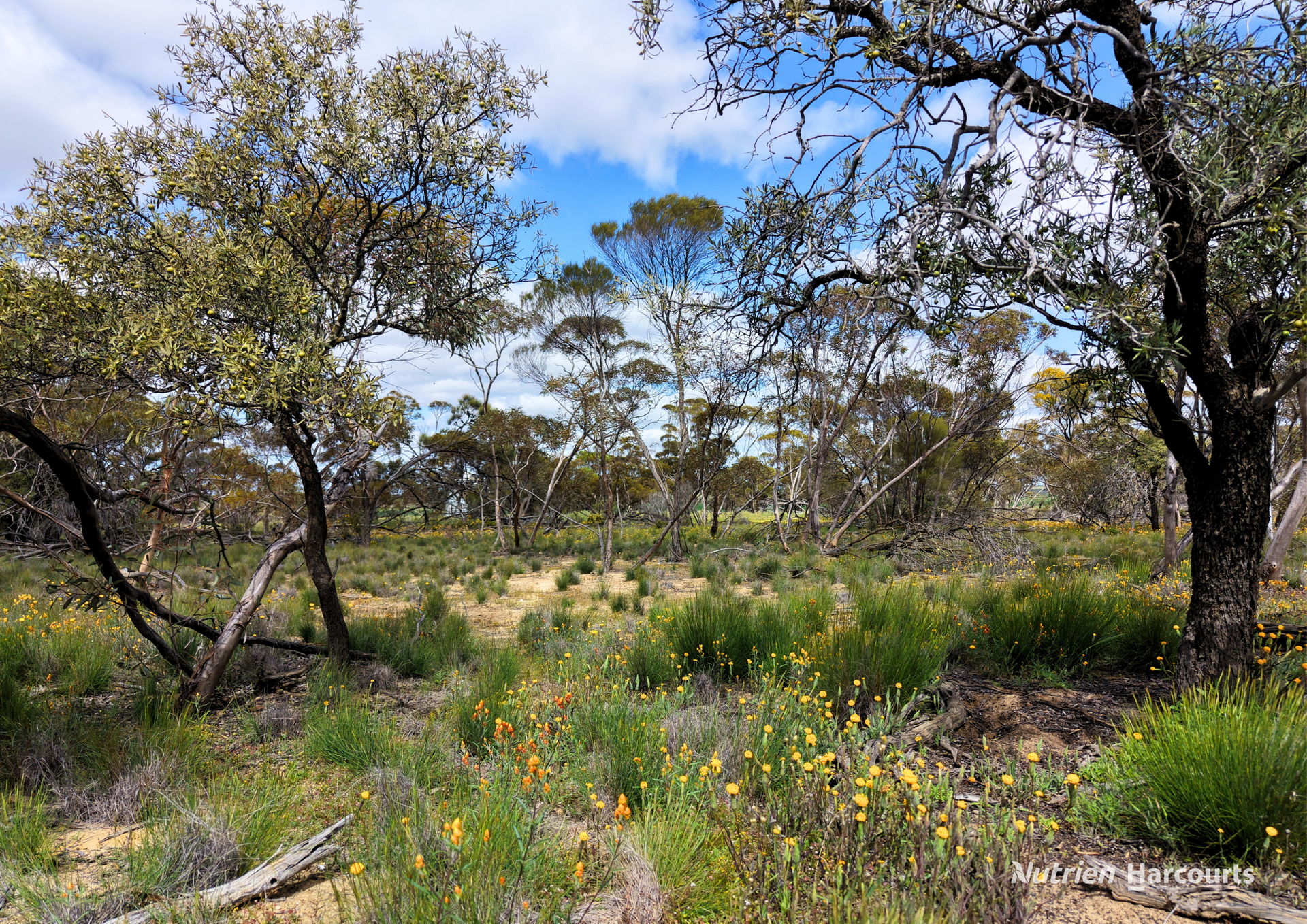 Lot 1495 East Boundary Road, Gabbin For Sale by Farmbuy.com - image 10