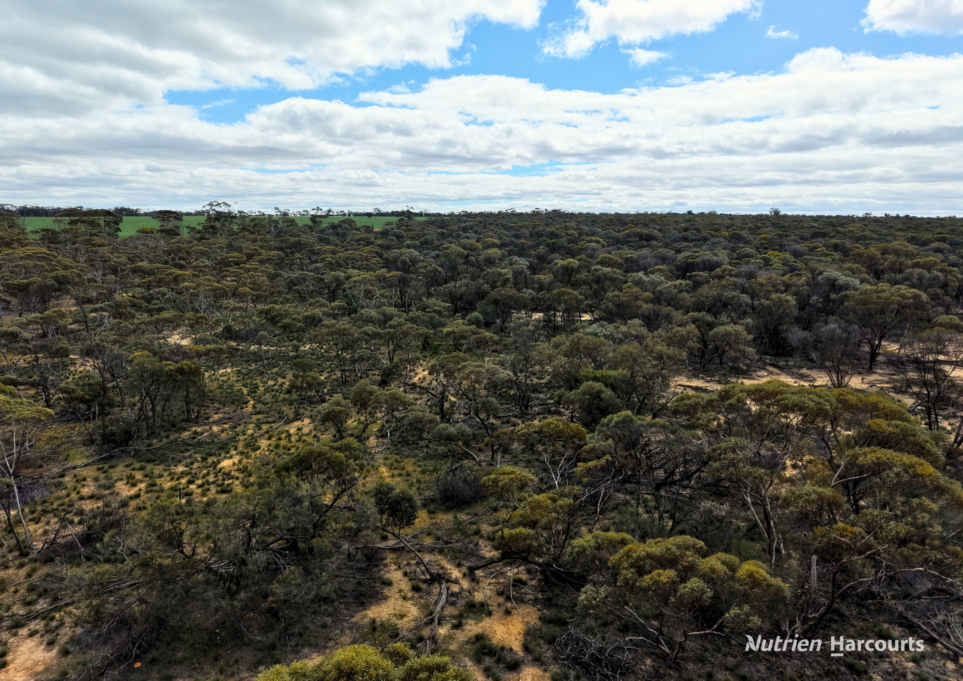 Lot 1495 East Boundary Road, Gabbin For Sale by Farmbuy.com - image 12