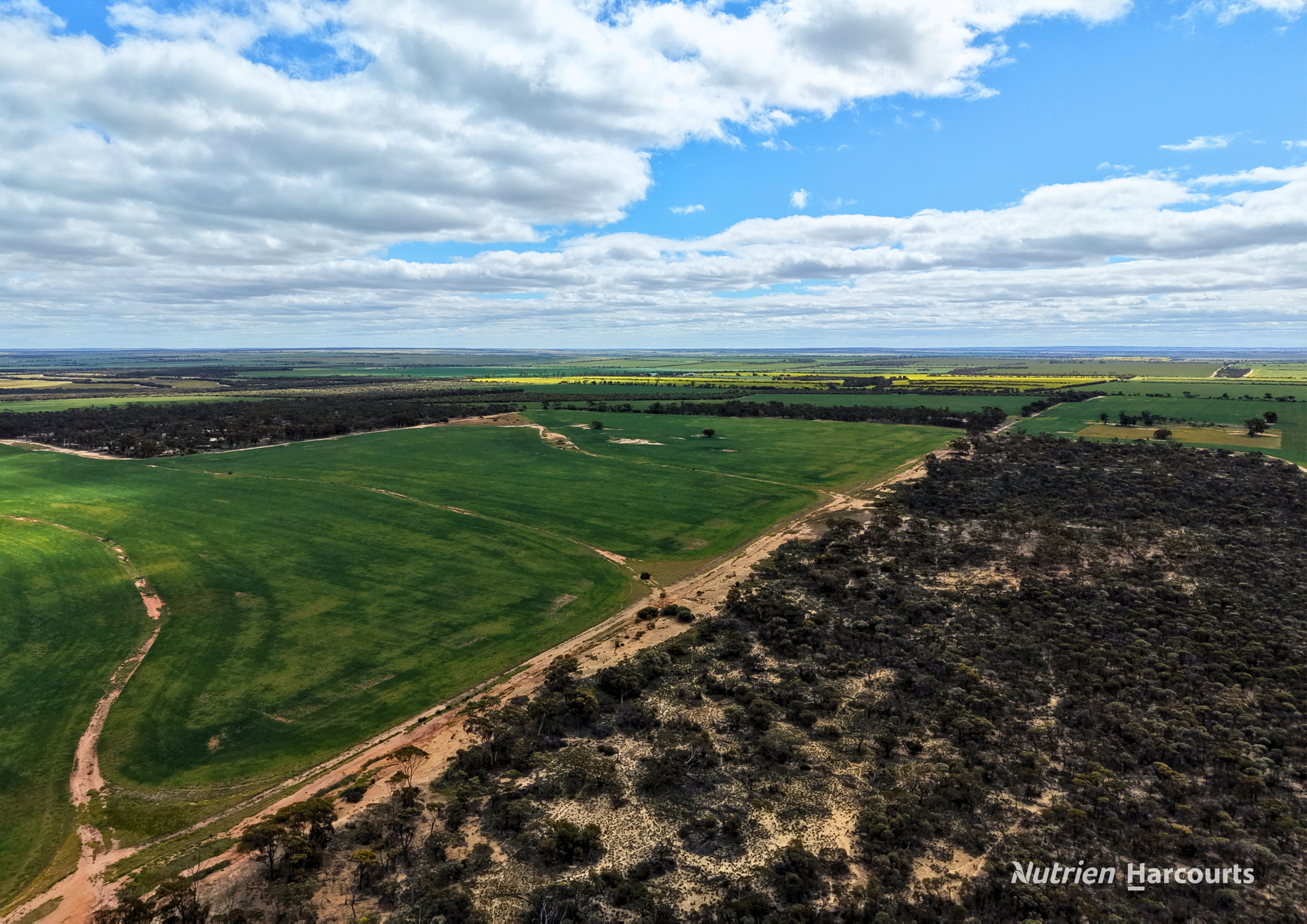 Lot 1495 East Boundary Road, Gabbin For Sale by Farmbuy.com - image 4