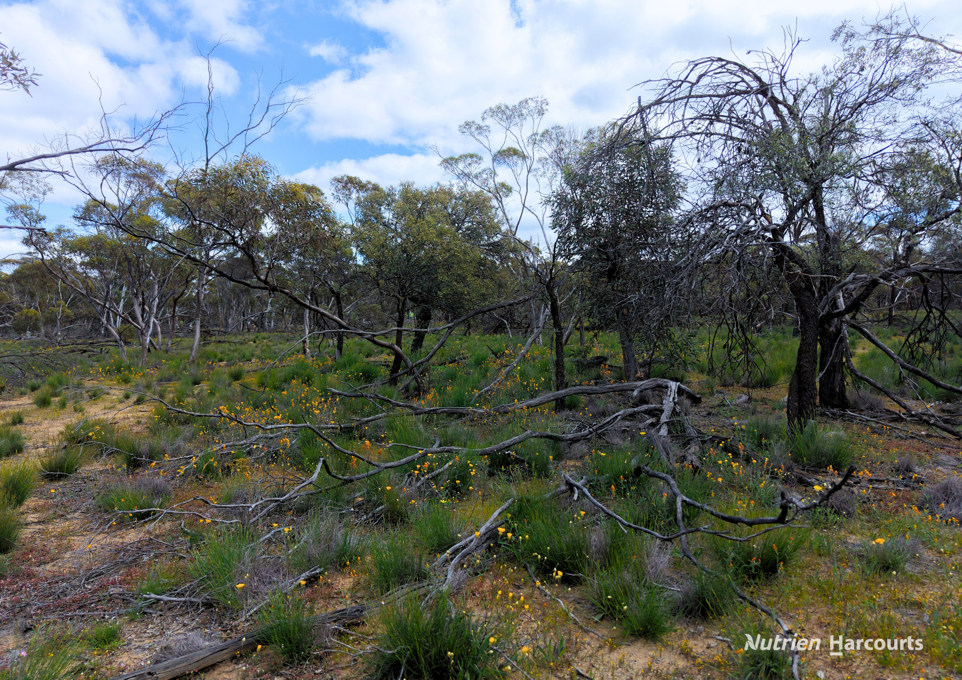 Lot 1495 East Boundary Road, Gabbin For Sale by Farmbuy.com - image 9
