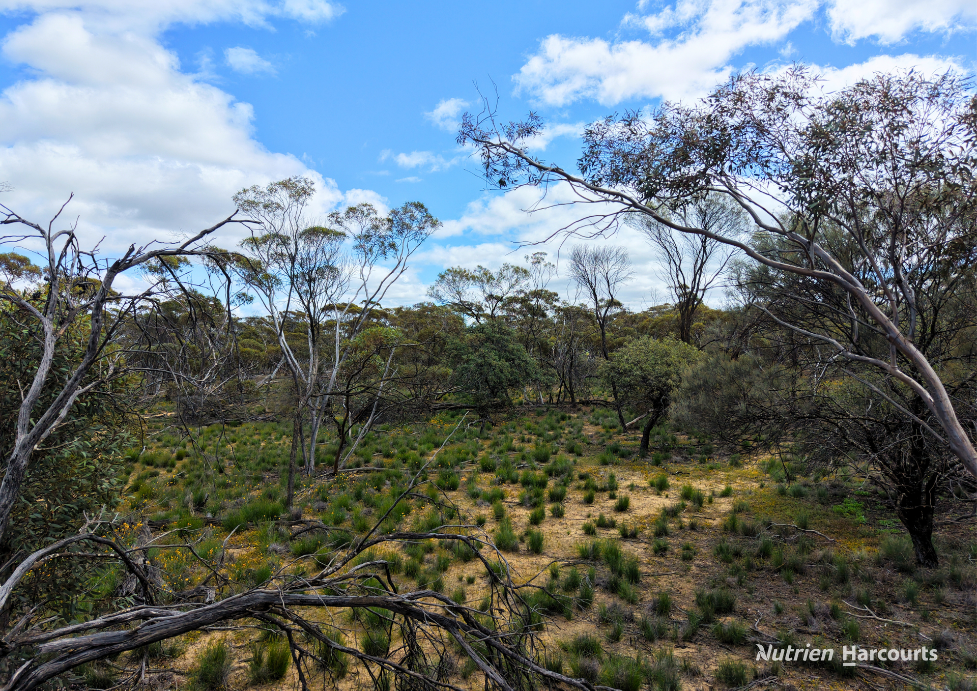 Lot 1495 East Boundary Road, Gabbin For Sale by Farmbuy.com - image 11