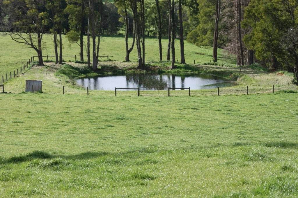 381 Warragul Lardner Road & 935 Lardners Track, Warragul For Sale by Farmbuy.com - image 21