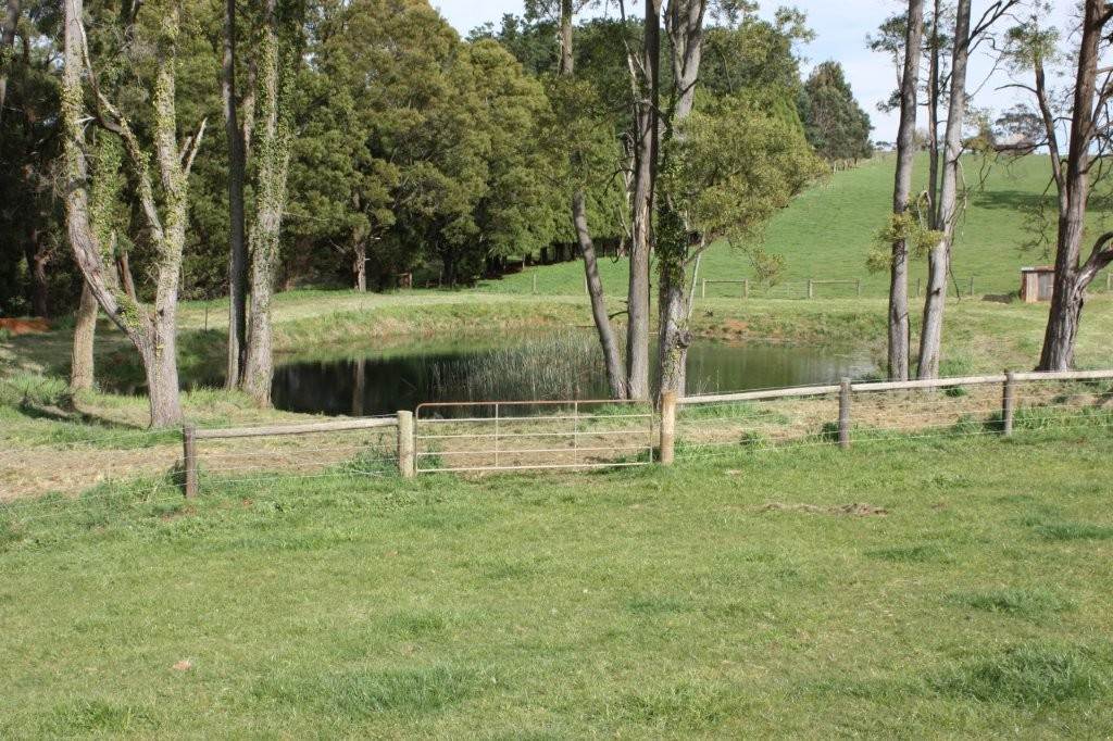 381 Warragul Lardner Road & 935 Lardners Track, Warragul For Sale by Farmbuy.com - image 23