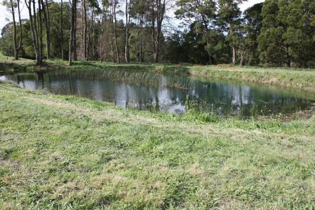 381 Warragul Lardner Road & 935 Lardners Track, Warragul For Sale by Farmbuy.com - image 22