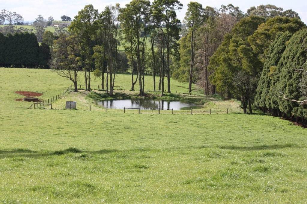 381 Warragul Lardner Road & 935 Lardners Track, Warragul For Sale by Farmbuy.com - image 20